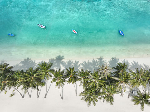 Aerial view of beautiful tropical beach with turquoise ocean, clear water, and palm trees, Haa Dhaalu, Maldives.