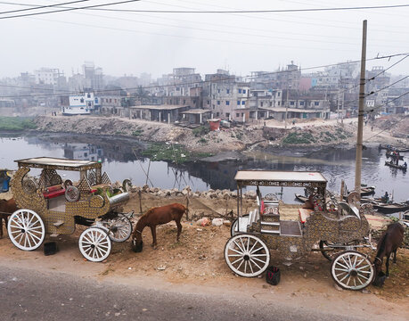 Aerial view of traditional horse-drawn carriages along a river with urban buildings and foggy skyline, Dhaka, Dhaka, Bangladesh.