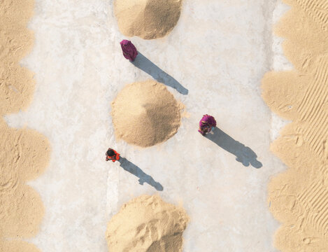 Dhaka, Bangladesch - 16 February 2025: Aerial view of beautiful agricultural fields with sun dried grain and workers in a rural setting, Dhaka, Bangladesh.