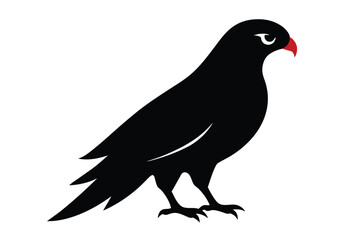 silhouette of a pigeon