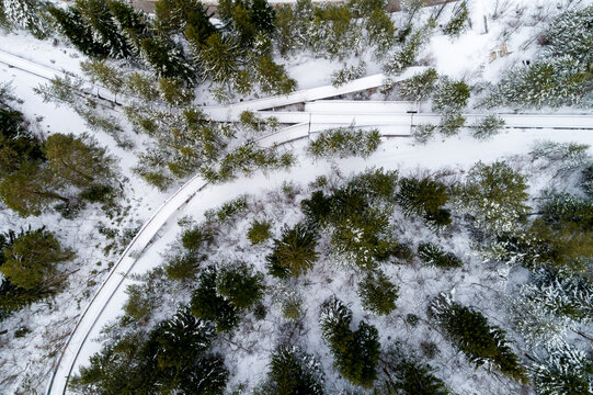 Aerial view of former Olympic bobsleigh track surrounded by serene winter forest and snow-covered trees, Sarajevo, Bosnia and Herzegovina.