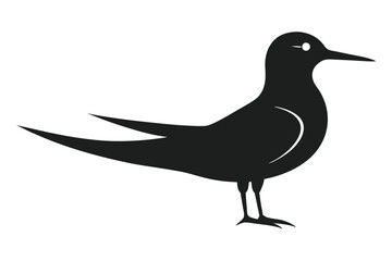 black silhouette of a bird