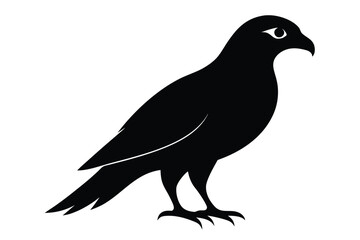 eagle vector illustration