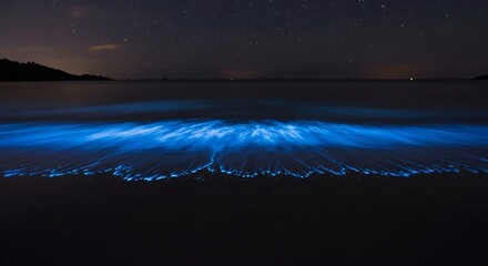 Bioluminescent Bay Glowing Blue at Night