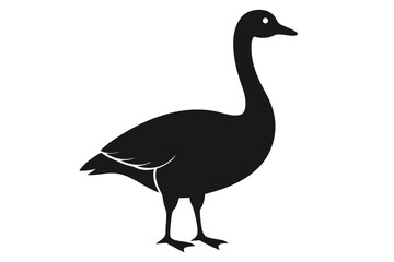goose isolated on white background