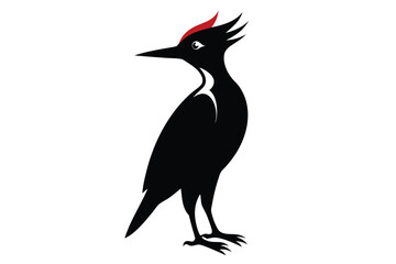 black silhouette of a bird