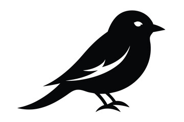 bird on a branch