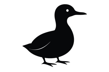 duck vector illustration