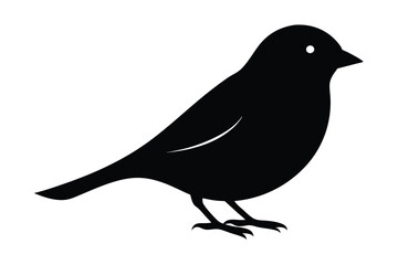 crow on a branch