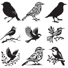 Set of birds on white background