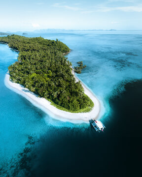 Aerial view of tropical beach with palm trees and clear blue ocean, Port Barton, Palawan, Philippines.