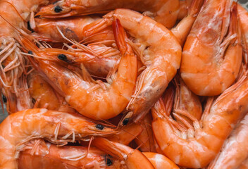 Close-up of a pile of fresh, cooked shrimp with vibrant orange shells and detailed textures
