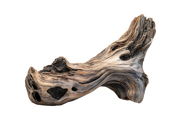 Driftwood isolated on transparent background