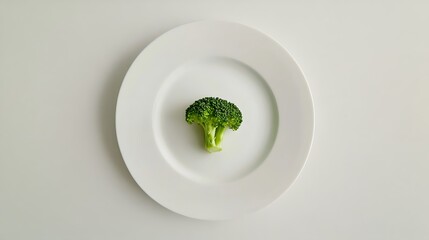 Single Broccoli Floret on a White Plate
