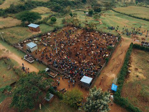 Kako, Ethiopia - 17 March 2025: Aerial view of tribal animal market bustling with people and cattle, Kako, Southern Nations Nationalities and Peoples' Region, Ethiopia.