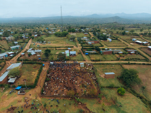 Aerial view of tribal animal market with cattle and rural village, Kako, Southern Nations Nationalities and Peoples' Region, Ethiopia.