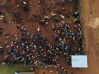 Kako, Ethiopia - 17 March 2025: Aerial view of bustling tribal animal market with vibrant crowd and livestock, Kako, Southern Nations Nationalities and Peoples' Region, Ethiopia.