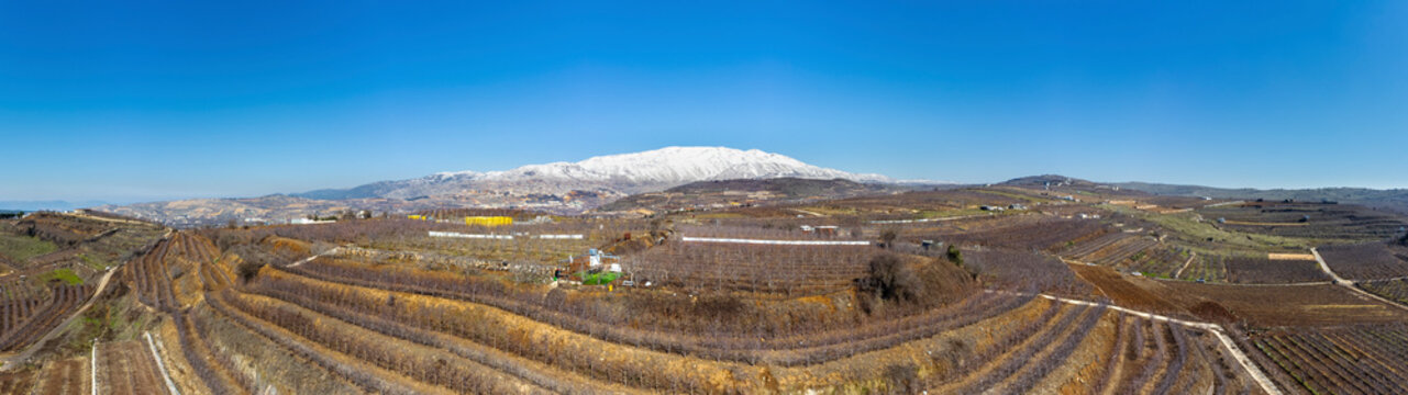 Aerial view of naked vineyard at winter, Golan Heights, Israel.