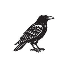 crow on a white background