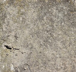 A close view of the hard rock surface.