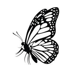 Angled Butterfly Wings Insect Art