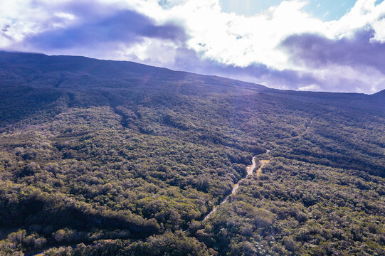 Aerial view of forest and mountains, Foret de Bebour, Reunion Island, an overseas department of France.