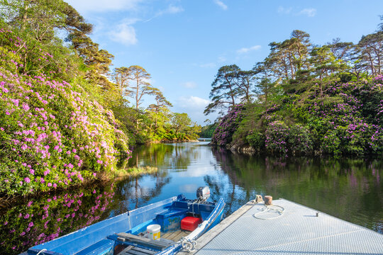 Der ruhige Blue Pool von Glengarriff
