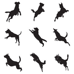 Vector Illustration jumping dogs