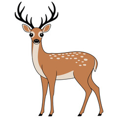 deer vector illustration