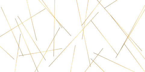 Abstract background with lines. Golden lines on White paper. Line wavy abstract vector technology line pattern background.