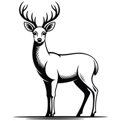 deer vector illustration