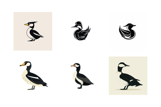 Six illustrations of smew and harlequin ducks