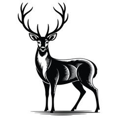 deer vector illustration