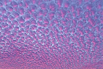 The sky is filled with fluffy pink clouds, creating a serene and peaceful atmosphere. The colors of the clouds are vibrant and eye-catching, making the scene feel almost magical