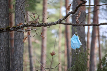
A forest with a blue medical face mask hanging from a tree branch, indicating human presence and...