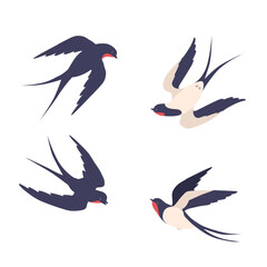 Flying swallows. Bird in flight isolated on a white background. Vector illustration in a flat style.
