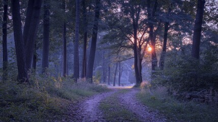 Obraz premium Forest Trail in Purple Twilight with Ambient Light