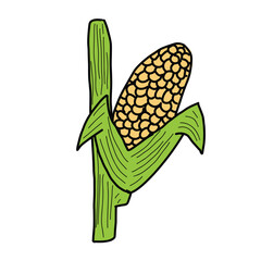 Corn on white background. Cartoon Style Illustration