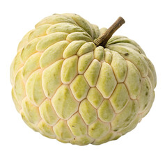 Fototapeta premium A whole single custard apple isolated on a transparent background