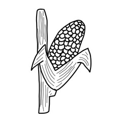 black and white line. Corn on white background. Cartoon Style Illustration