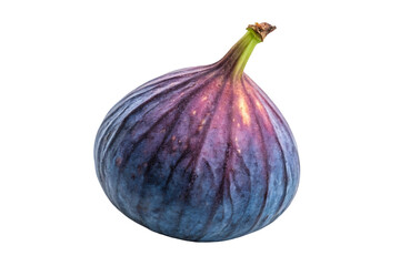 Fresh and Juicy Figs isolated on white background. Fresh fruit illustration on white