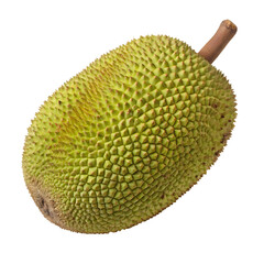 A whole single jackfruit isolated on a transparent background