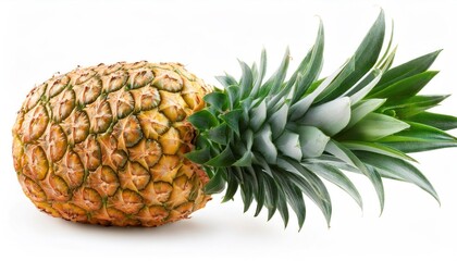 Fototapeta premium Juicy Pineapple Isolated on White Background – Full Depth of Field