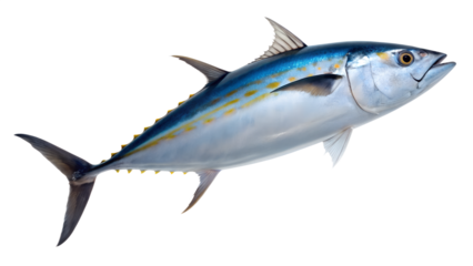 Tuna. PNG.