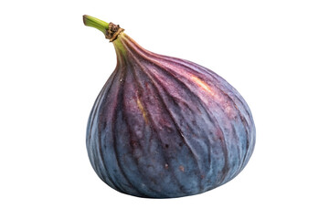 Fresh and Juicy Figs isolated on white background. Fresh fruit illustration on white