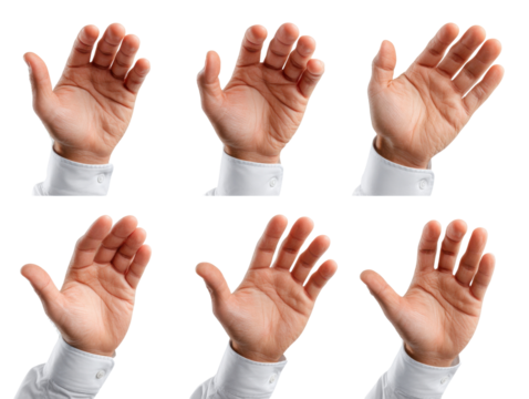 Human Hand Gestures: A selection of realistic hand poses of an individual. Each hand is meticulously captured, showcasing the diverse forms of the hand in different angles and positions.