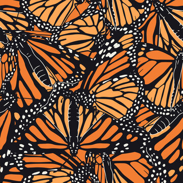 Seamless pattern with hand drawn orange monarch butterflies. Repeat wallpaper of beautiful tropical insect. Vector illustration