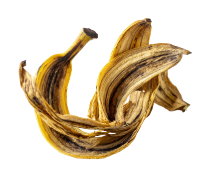 Dried banana peel for natural composting and gardening use, cut out transparent