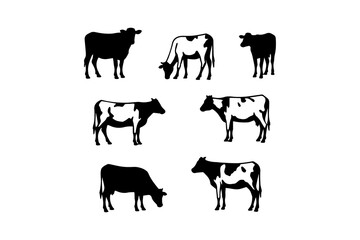 Fototapeta premium cow and calf