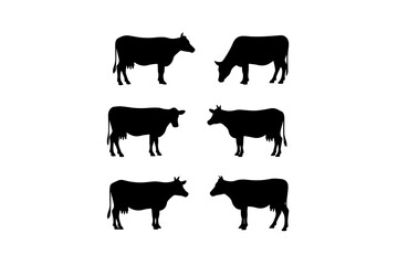 silhouettes of cows